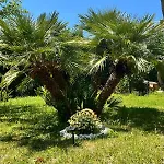 Eli Agropoli