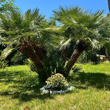 Eli Agropoli